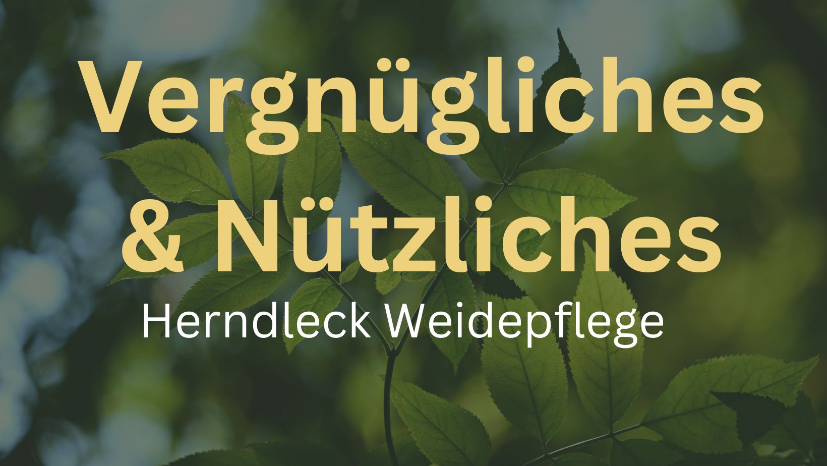 „Vergnügliches & Nützliches!“ Herndleck Weidepflege